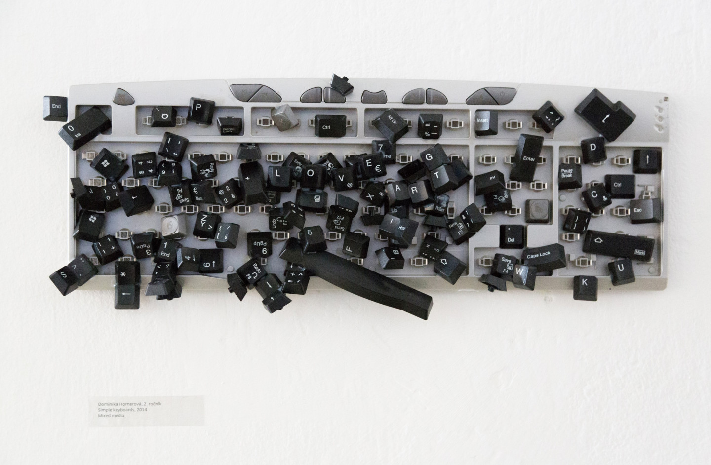 Dominika Hornerová Diplomky AVU